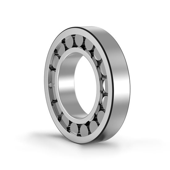 SKF NU206ECJ