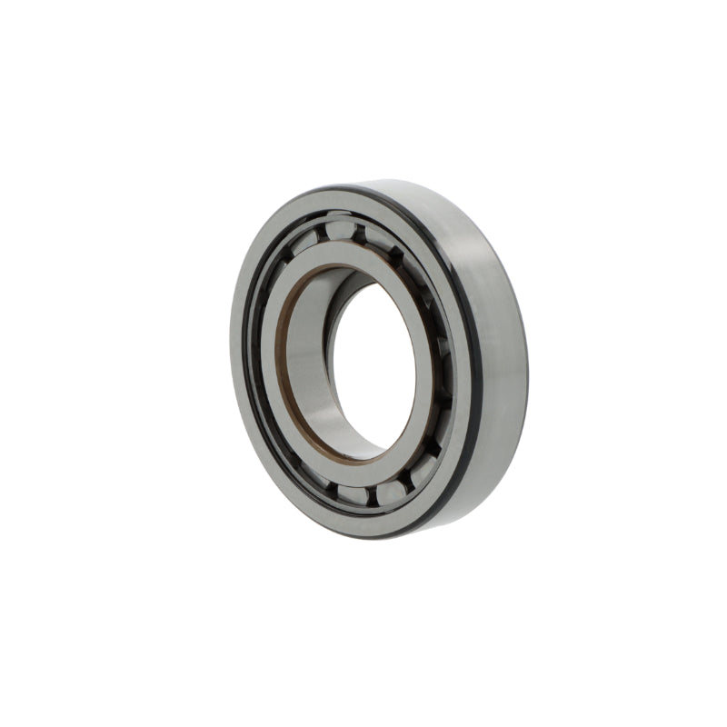 BC1-0313SKF