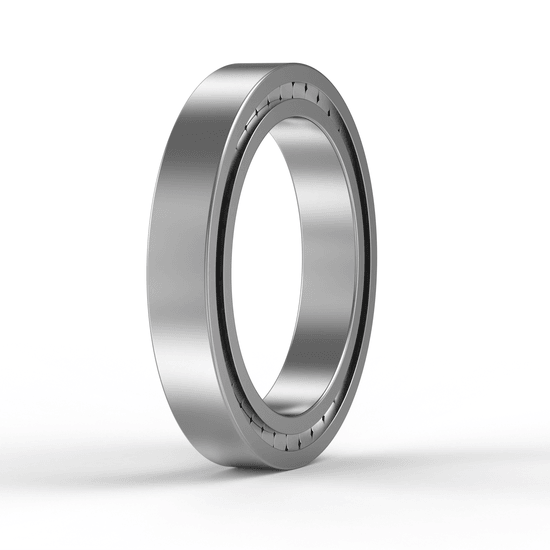 SL182952 INA - Zylinderrollenlager with white background