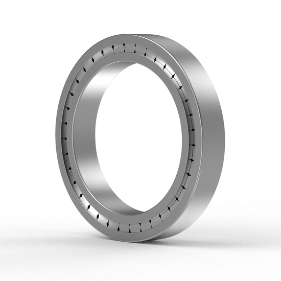 SL182213XL INA - Zylinderrollenlager with white background