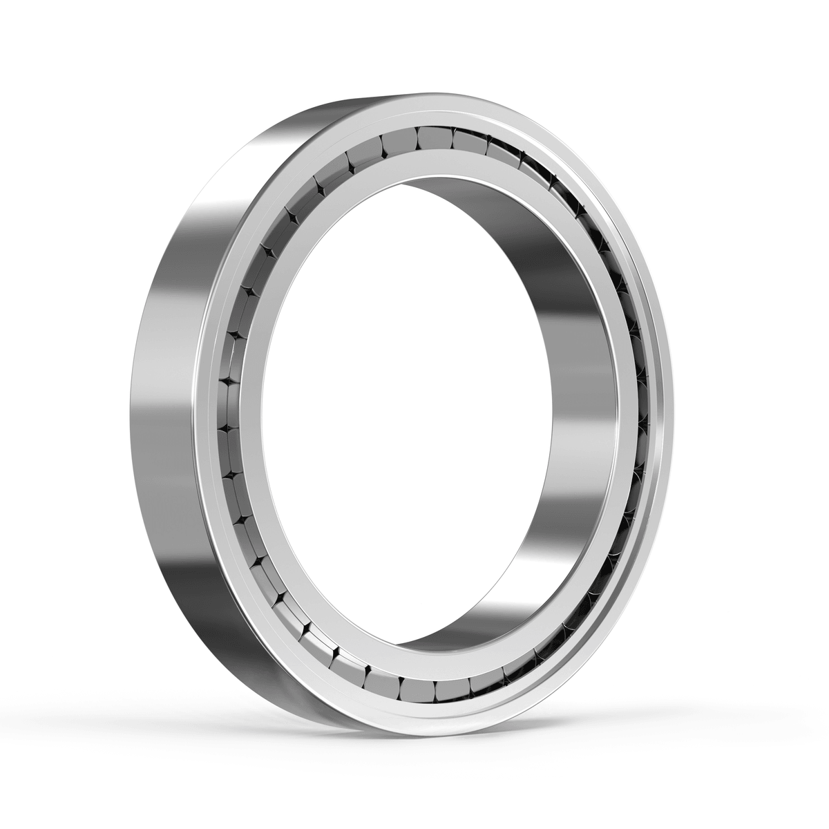 SL182208XL INA - Zylinderrollenlager with white background